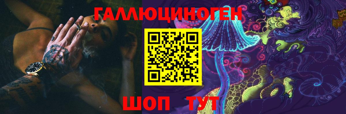 Галлюциногенные грибы Cubensis Рославль
